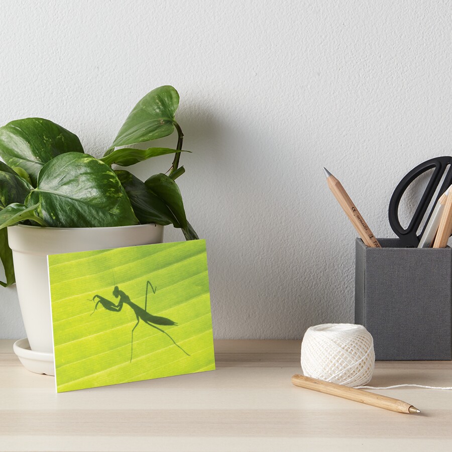 Item preview, Art Board Print designed and sold by RichardG-W.