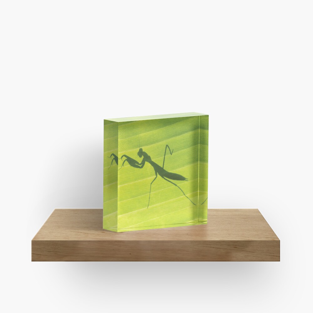 Item preview, Acrylic Block designed and sold by RichardG-W.
