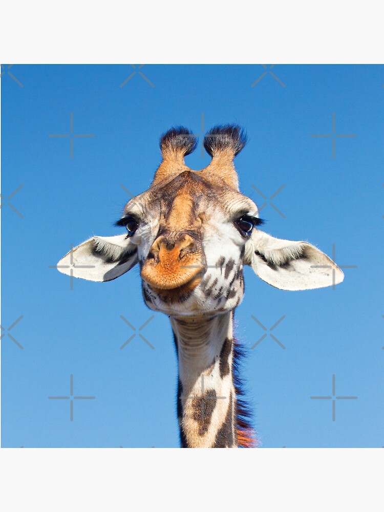 Thumbnail 2 of 2, Tote Bag, Giraffe Portrait designed and sold by RichardG-W.