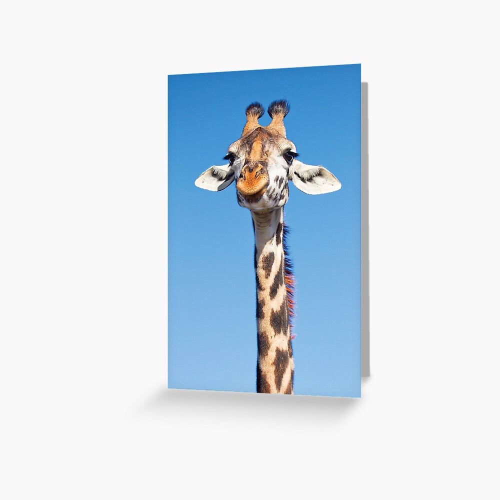 Item preview, Greeting Card designed and sold by RichardG-W.