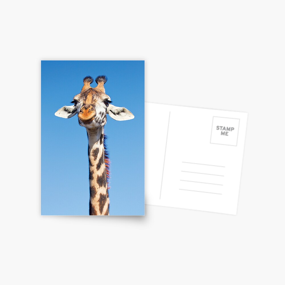 Item preview, Postcard designed and sold by RichardG-W.