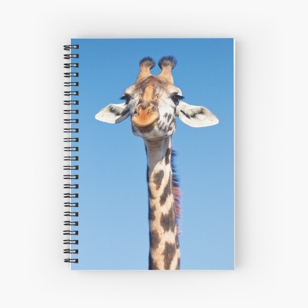 Item preview, Spiral Notebook designed and sold by RichardG-W.