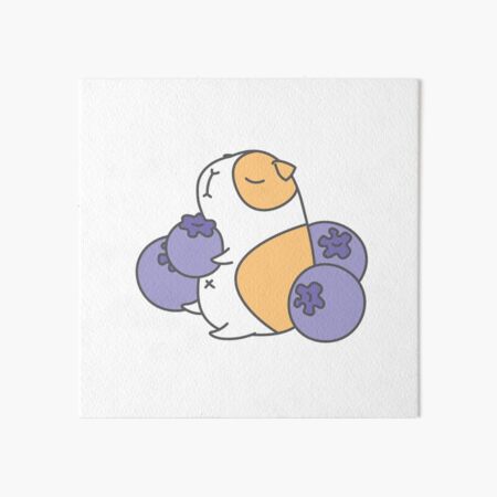 blueberry guinea pig Art Board Print for Sale by Isaac Elijah Williams Redbubble