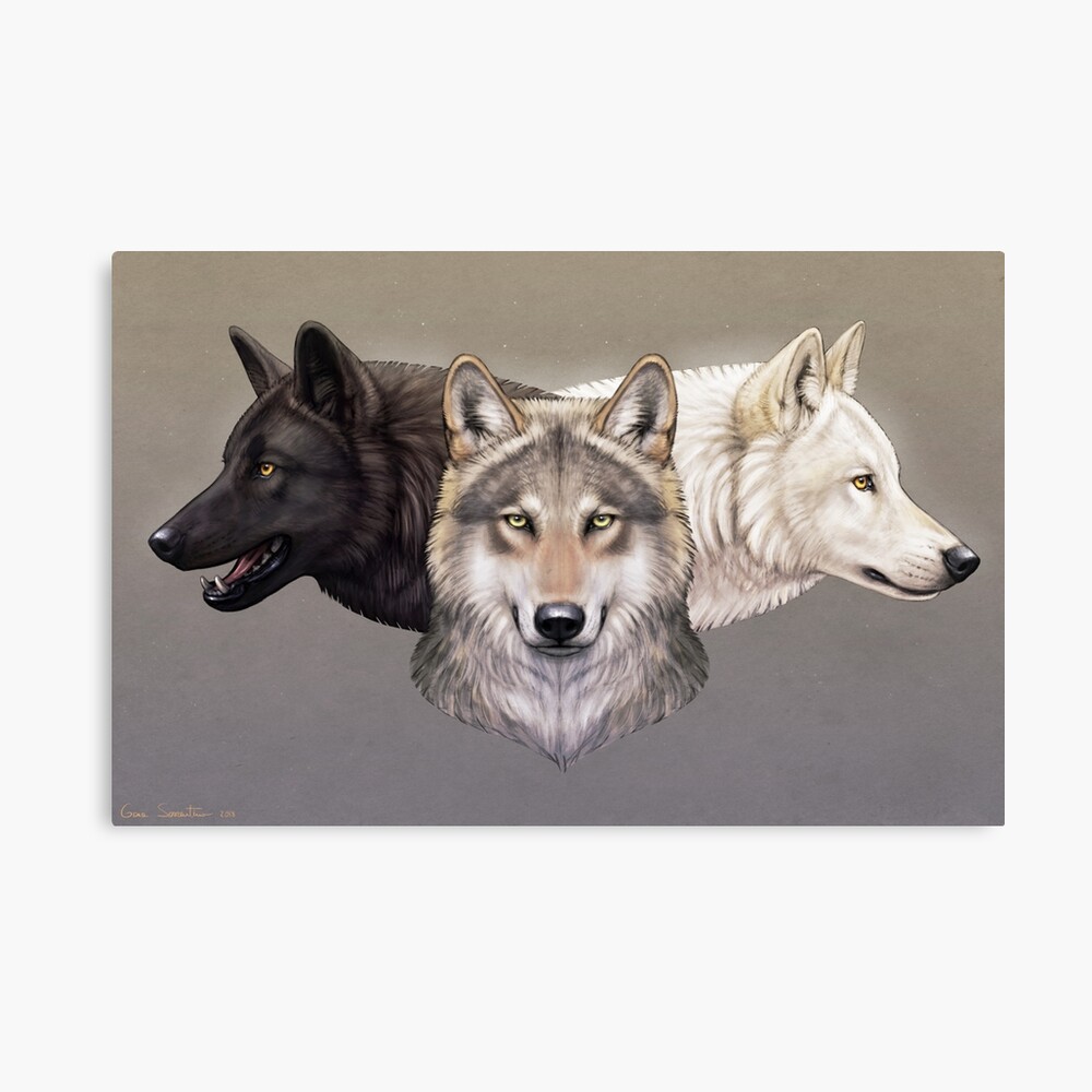 Three Wolves Art Board Print