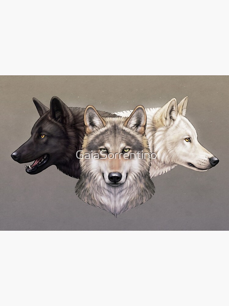 Three Wolves Art Board Print