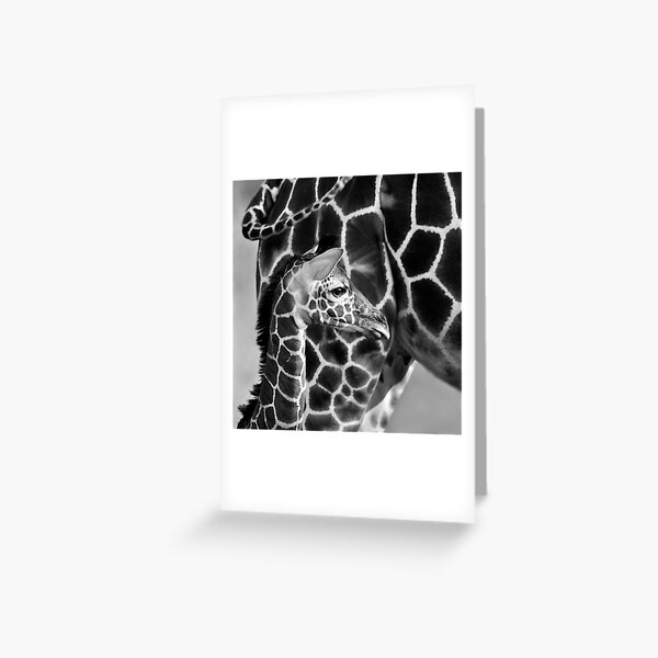 Item preview, Reticulated Giraffe designed and sold by Richard Garvey-Williams.