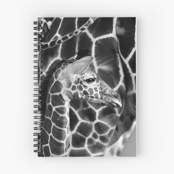 Item preview, Reticulated Giraffe designed and sold by Richard Garvey-Williams.