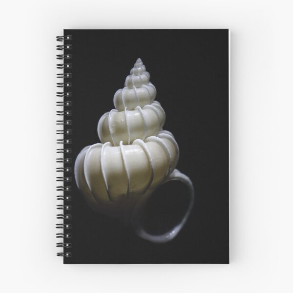Item preview, Spirals designed and sold by Olivia Plasencia.