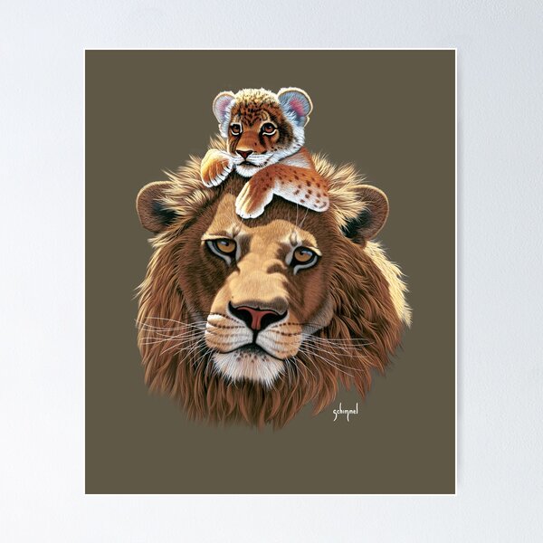 Father Lion and Lion Cub, male lion Poster