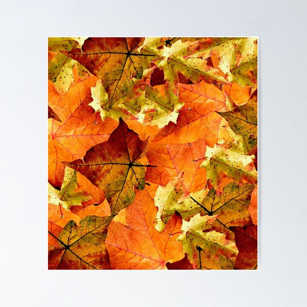 Item preview, Fallen Autumn Leaves designed and sold by Frankie Cat Photography.