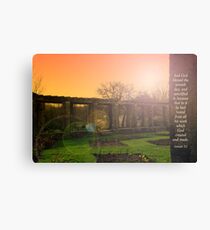 Genesis Canvas Print