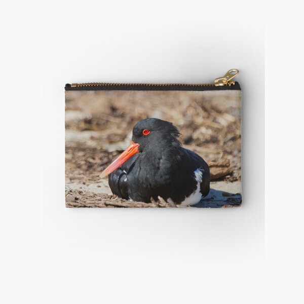Item preview, Sunbathing Oystercatcher Style designed and sold by byronbackyard.