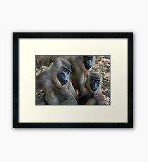 Three Drills Framed Print