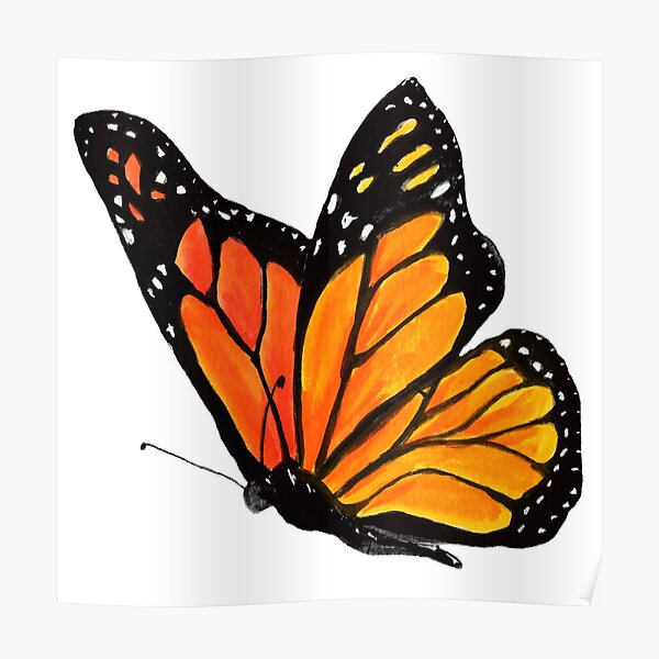 Monarch Landing Poster
