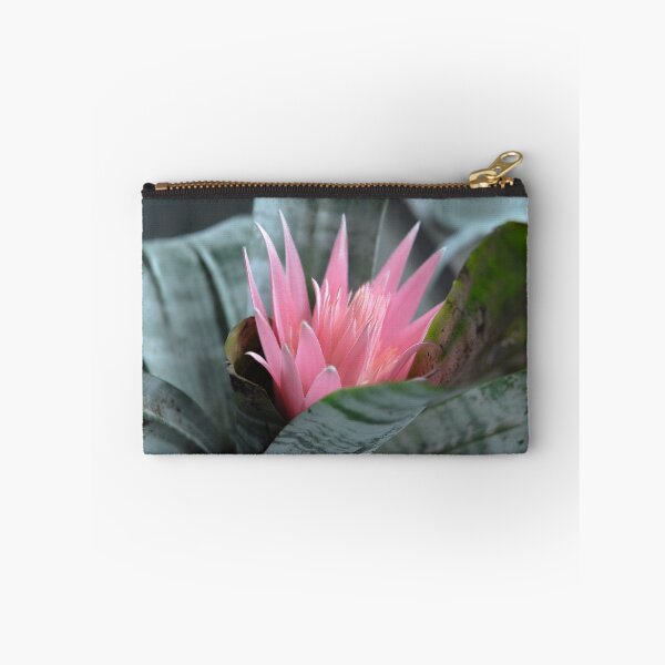 Item preview, The Gentle Beauty - Bromeliad designed and sold by vbk70.