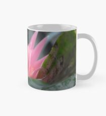 Taza The Gentle Beauty - Bromeliad
