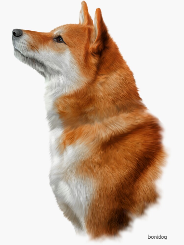 Drawing Japanese Shiba Inu dog Sticker for Sale by bonidog