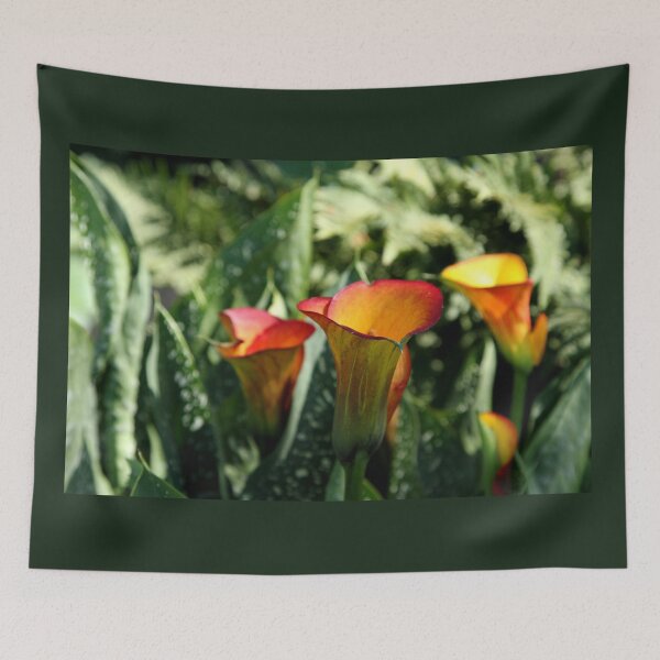 Item preview, Calla Lilies on display designed and sold by picturedlcphoto.