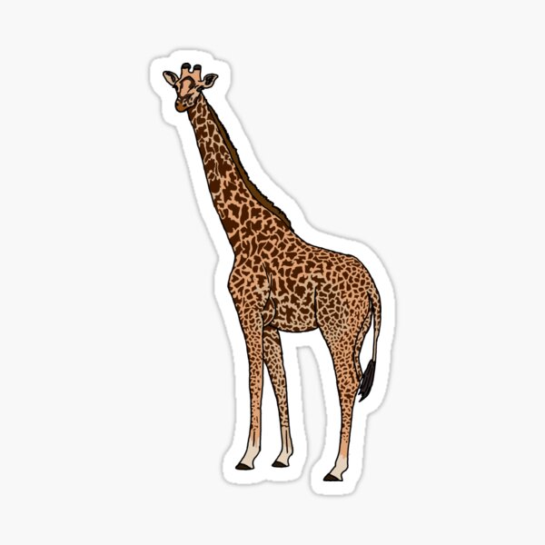 Giraffa piccolo o grande appiccicoso White Paper ADESIVI ETICHETTE NUOVO 