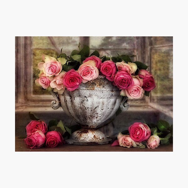 Windowroses Photographic Print