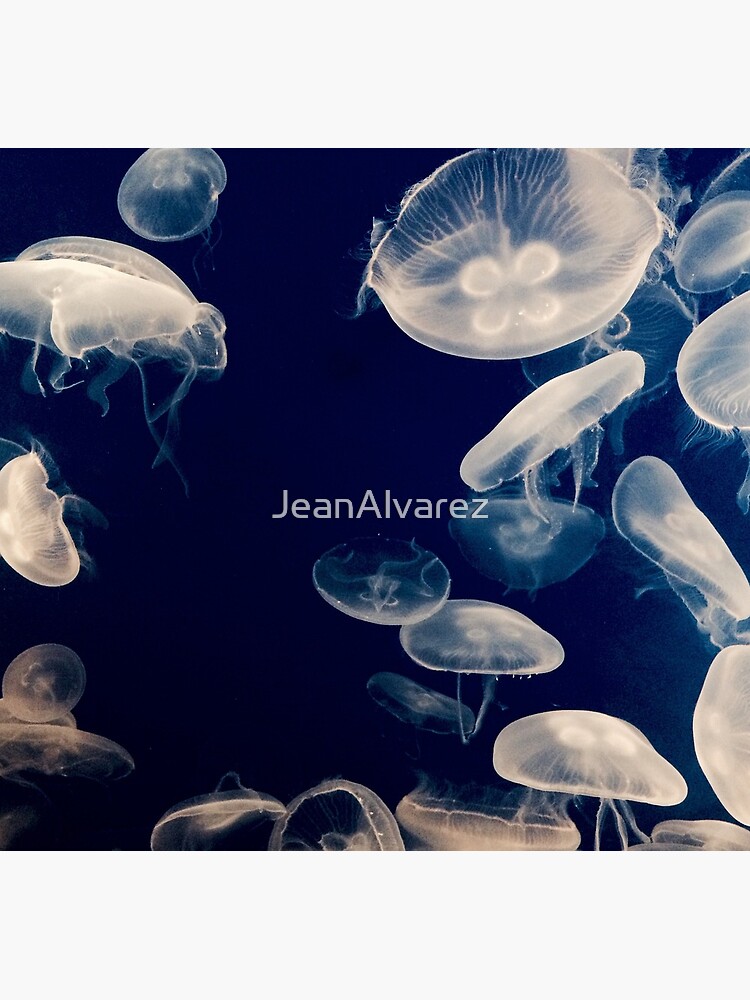 Jellyfs by JeanAlvarez