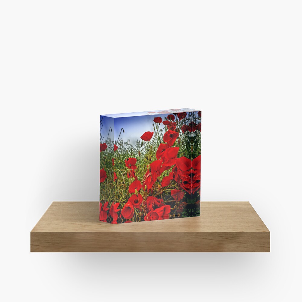 Item preview, Acrylic Block designed and sold by Coigach.
