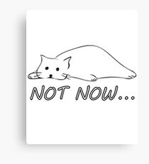 Not Now Darling Cats Funny Kitty Sad Face Cat Procrastination Timing Spleen Meme Canvas Print