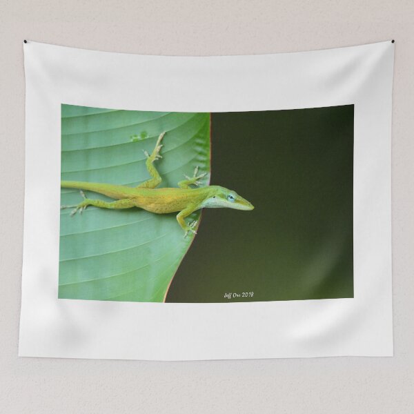 Item preview, Green Anole (Anolis,carolinsis) on a Leaf designed and sold by Jeff Ore.