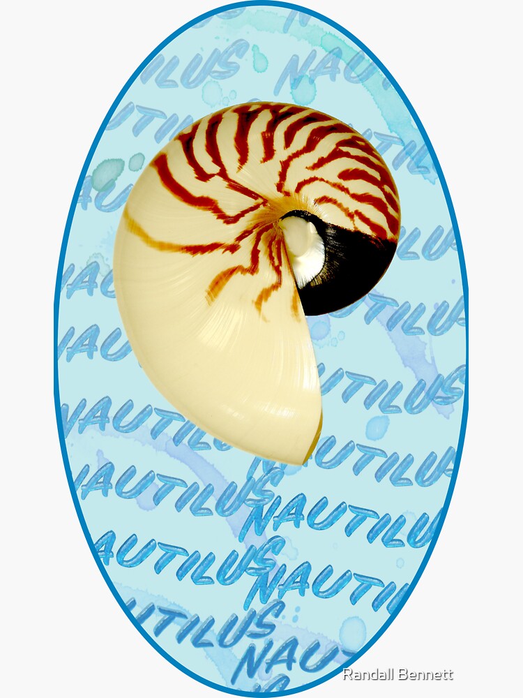 Nautilus Shell Sticker For Sale By Forestpoolart Redbubble