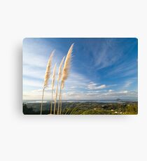 Tauranga 1 Canvas Print