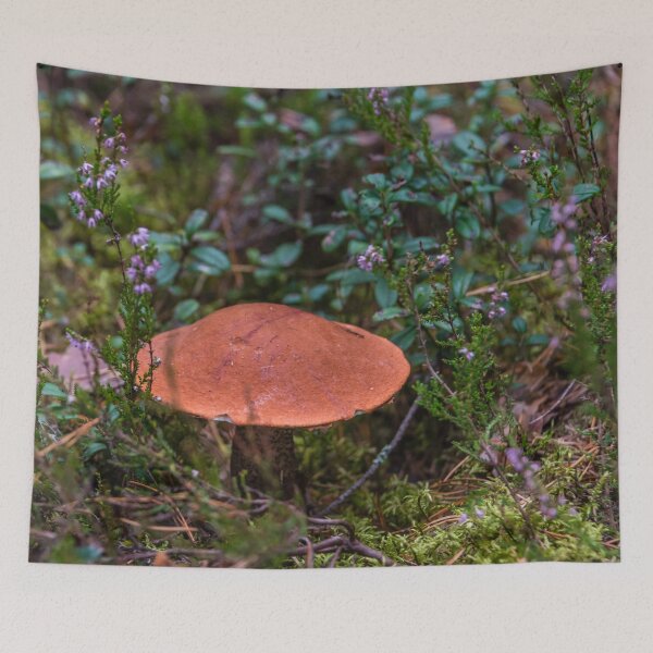 Item preview, Edible Mushroom in a Latvian Forest designed and sold by Jon Shore.