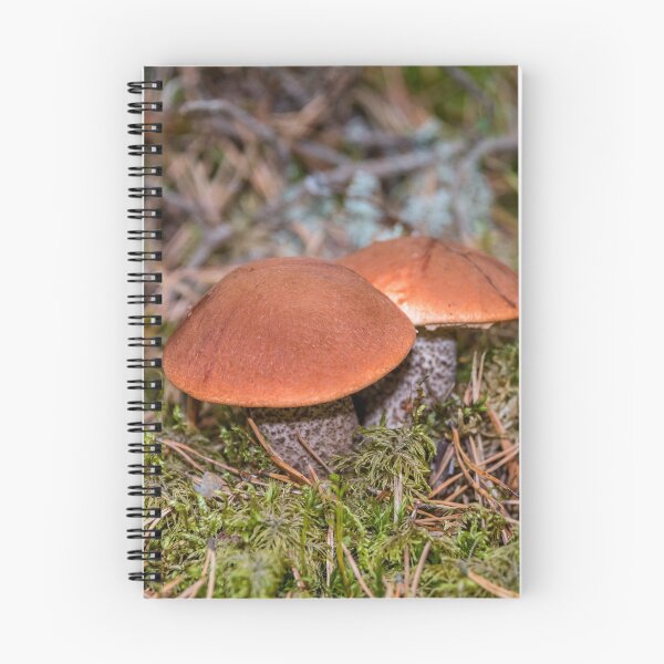 Item preview, Setas comestibles en un bosque de Letonia designed and sold by Jon Shore.