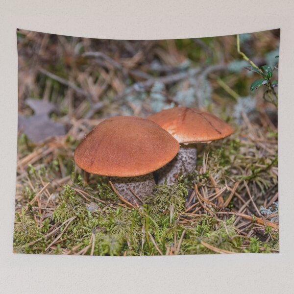 Item preview, Edible Mushrooms in a Latvian Forest designed and sold by Jon Shore.