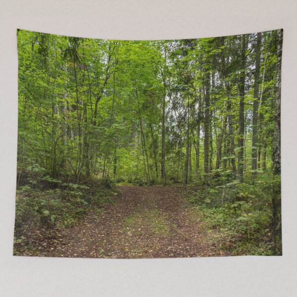 Item preview, Hiking Trail in a Deep Green Forest in Europe designed and sold by Jon Shore.