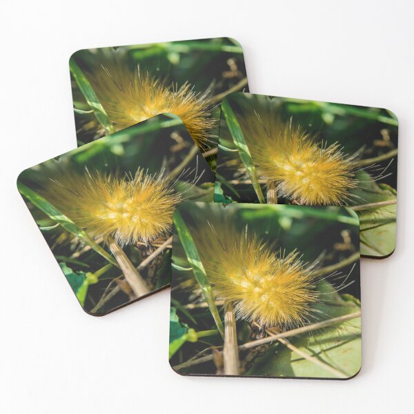 Item preview, Prickly Yellow designed and sold by ArtGalt.