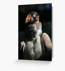 King Vulture Greeting Card