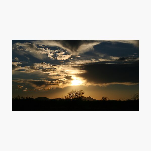 Item preview, Into The Night designed and sold by shutterbug45.