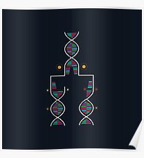 DNA - Infographic Poster