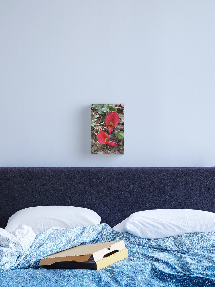 Thumbnail 2 of 3, Canvas Print, Scarlet Runner designed and sold by mtapping.