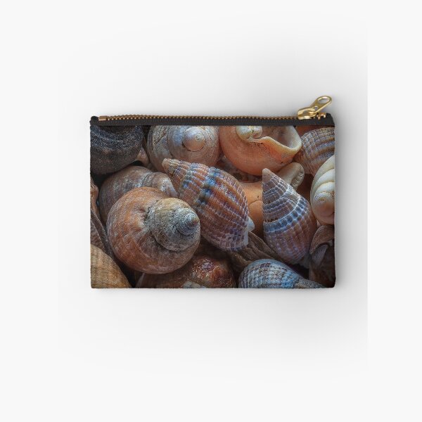 Item preview, Netted dog whelks designed and sold by Leighton Collins.