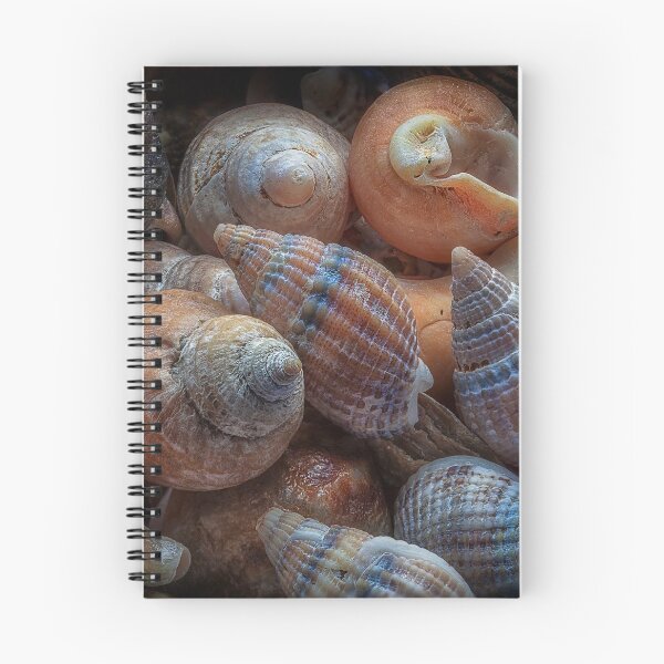 Item preview, Netted dog whelks designed and sold by Leighton Collins.