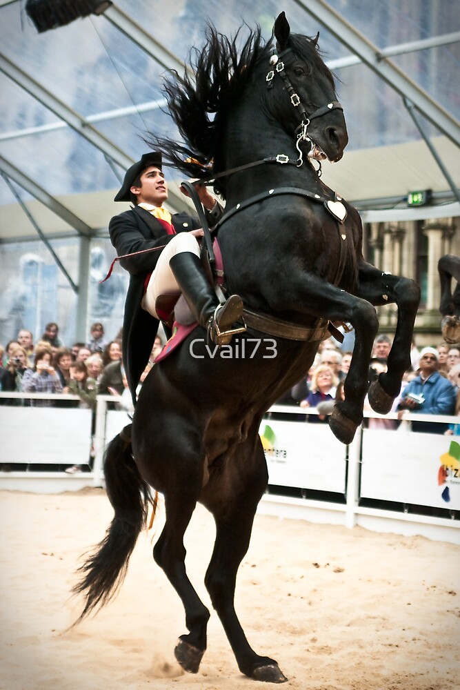 "Zorro's horse?" by Cvail73 Redbubble