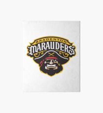 Bradenton Marauders Art Board