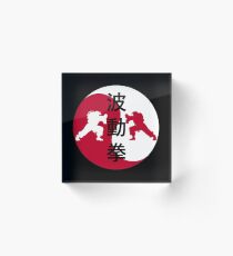 Street Fighter Acrylic Block