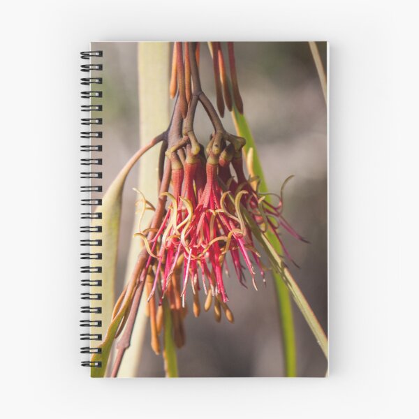 Item preview, Drooping Mistletoe designed and sold by Amy Akers.