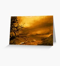 WiLdSiDe Greeting Card