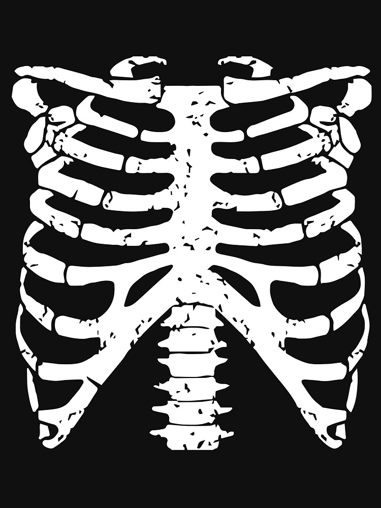 Free Halloween Roblox Clothing Skeleton Sweater Design Template