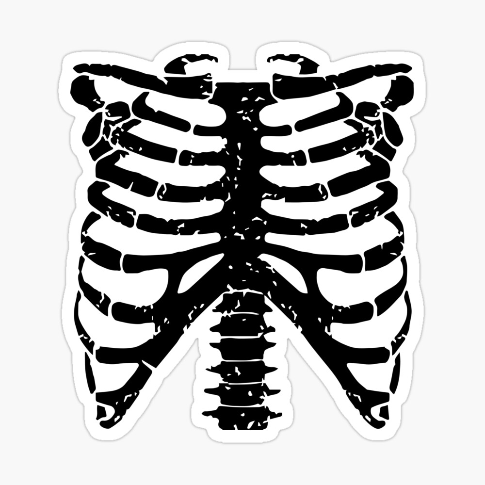 Beautiful Rib Cage Cartoon Skeleton Torso Halloween - Roblox T Shirts Png  PNG Image