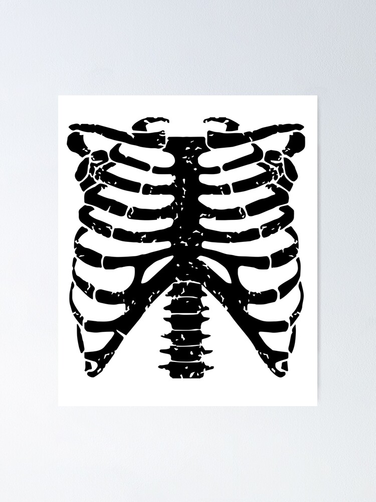 Beautiful Rib Cage Cartoon Skeleton Torso Halloween - Roblox T Shirts Png  PNG Image