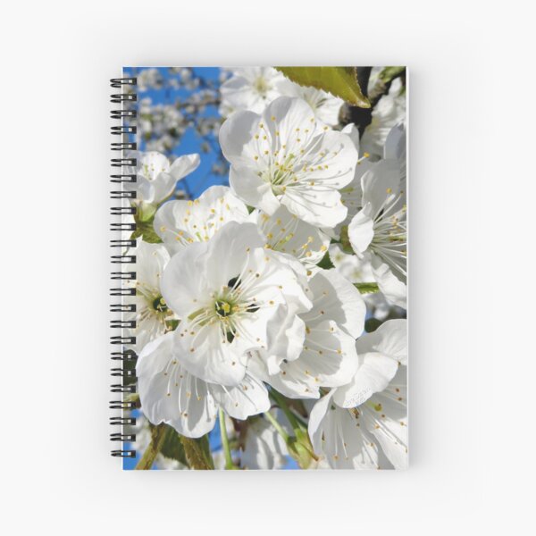 Aperçu de l'œuvre Quelques fleurs de cerisier ... créée et vendue par sheSzen.